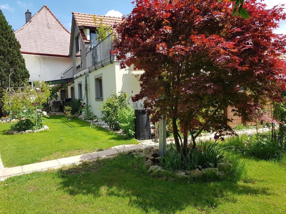 Bnb Comfort Guesthouse Olten - Lostorf Екстер'єр фото