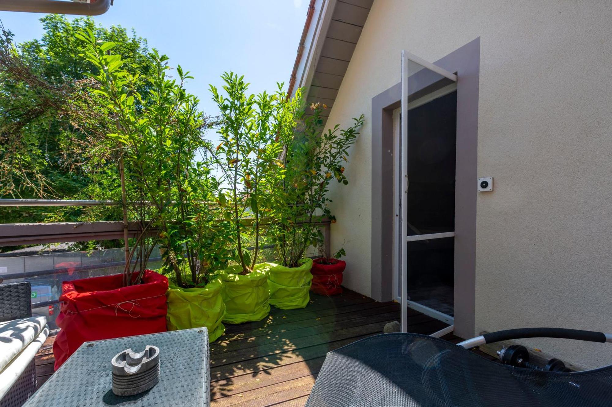 Bnb Comfort Guesthouse Olten - Lostorf Екстер'єр фото