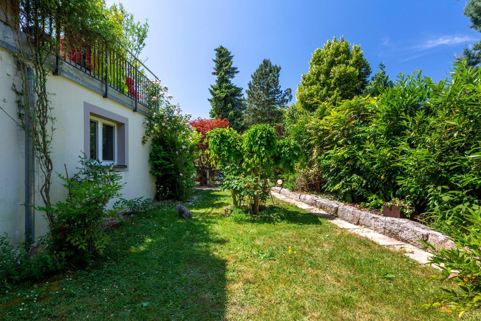 Bnb Comfort Guesthouse Olten - Lostorf Екстер'єр фото